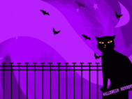 Cat and Bats Halloween Wallpaper screenshot